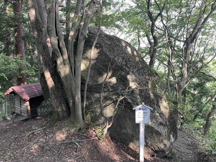 星を記録していたとされる星座石