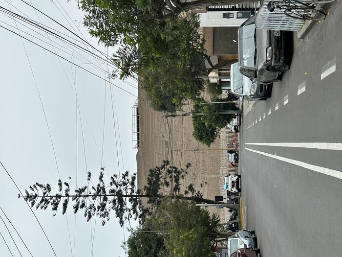 閉まっているお店の通り