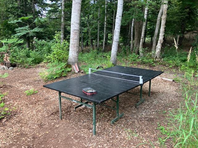 IMG_2897卓球台.jpg