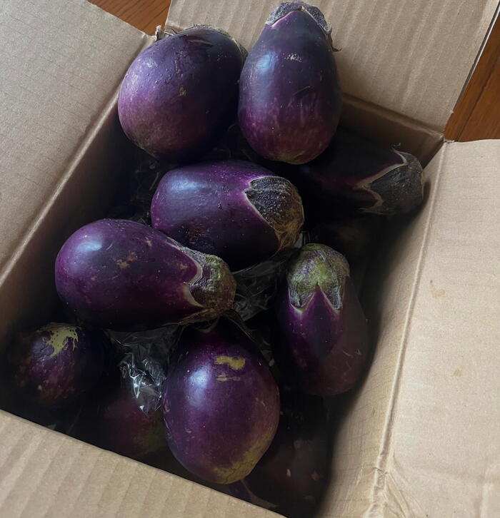 箱いっぱいの水なす