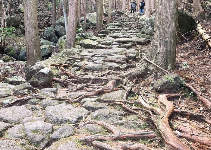 松本峠 登り口（大泊側）から登り始めてすぐに始まる美しい石畳