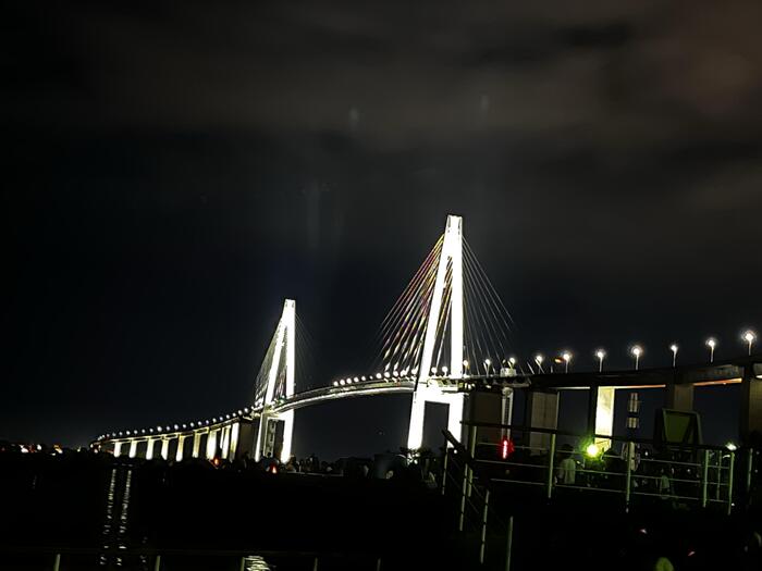 新湊大橋　夜景