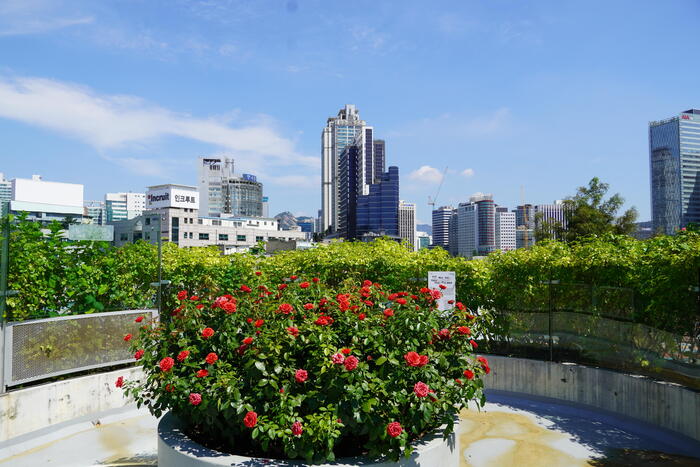 四季折々の花が美しい庭園スポット