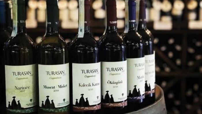 トルコ固有のぶどう品種　トラサンワイン