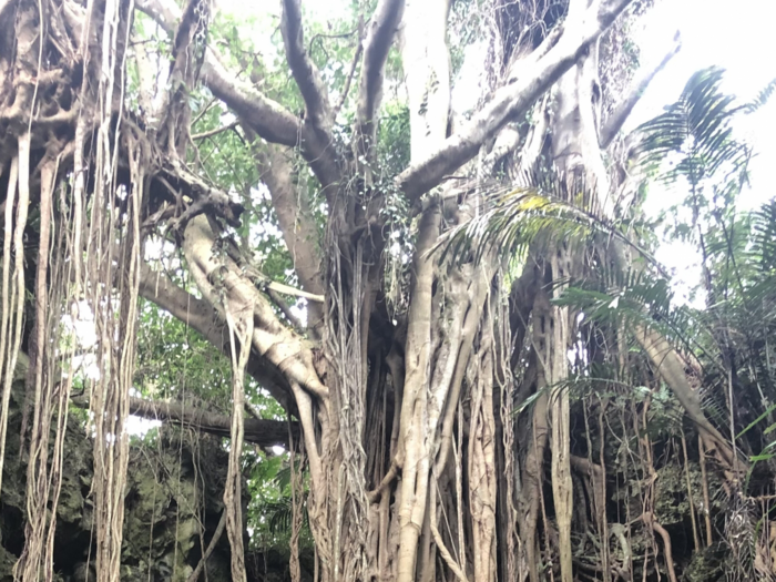 ガンガラーの谷