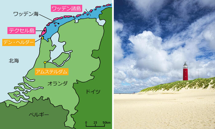 オランダで人気のテクセル島