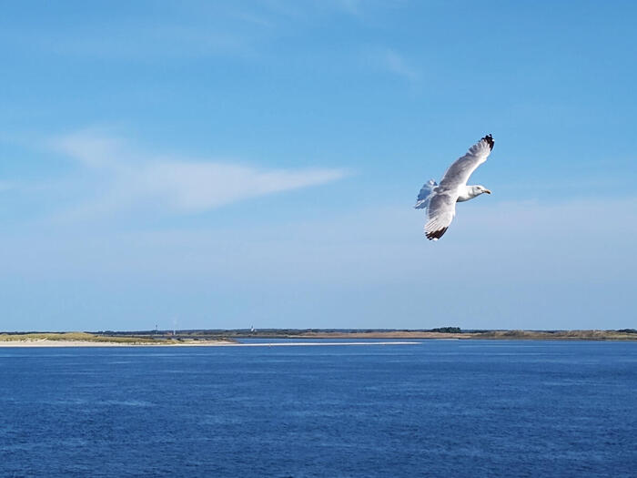フェリー船内からみる海の景色
