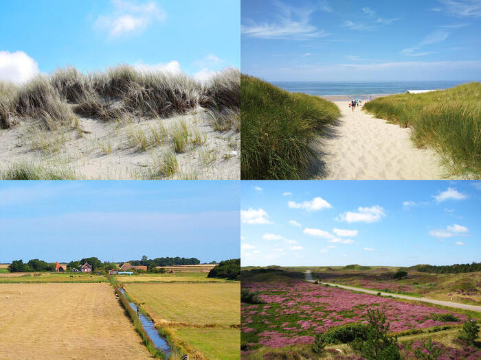 自然が広がる景勝地