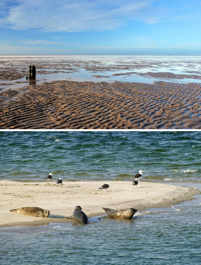 世界遺産のワッデン海
