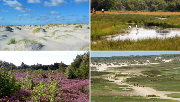 テクセル砂丘国立公園