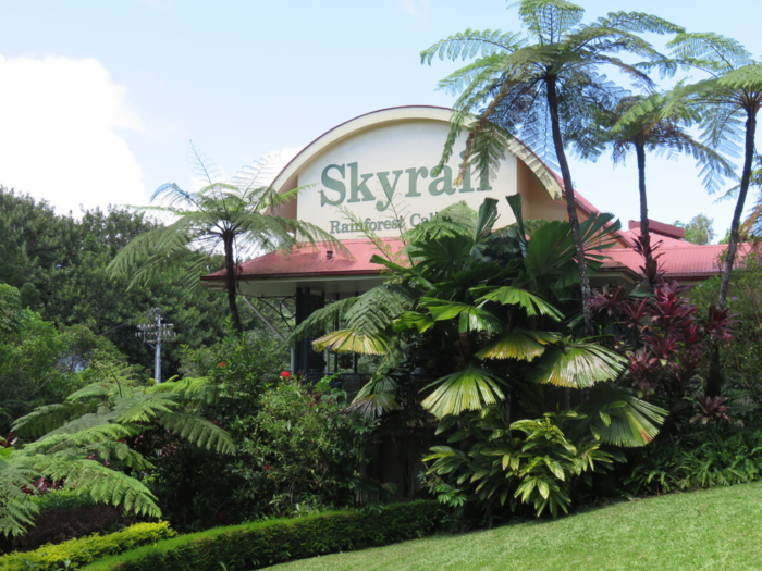 skyrail スカイレールは熱帯雨林の真上を進むゴンドラ