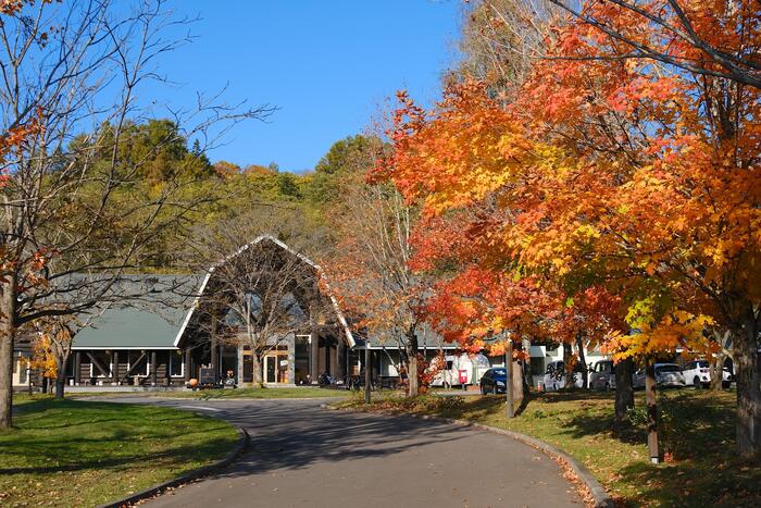 ログホテルメープルロッジ　紅葉の外眼
