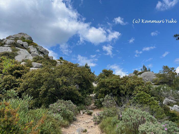 採石場近くのハイキングコース