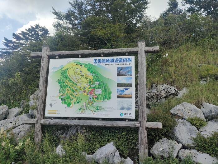 四国カルストの天狗高原