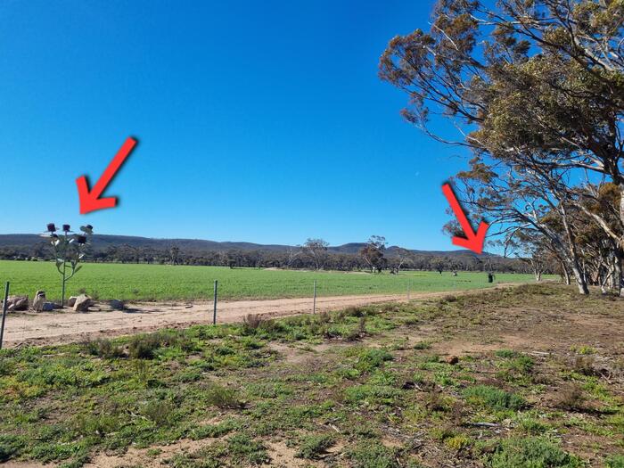 ＜ファーム内の作品には正確な位置情報なし＞