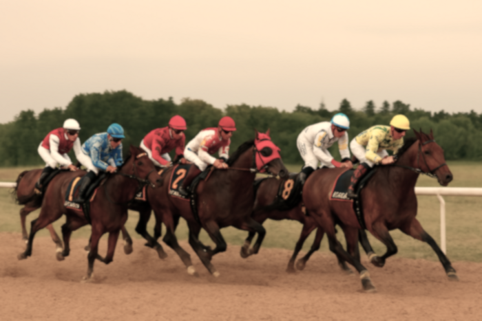 競馬にちなんで、ドラム缶や金属廃材（Tin）で作られた馬