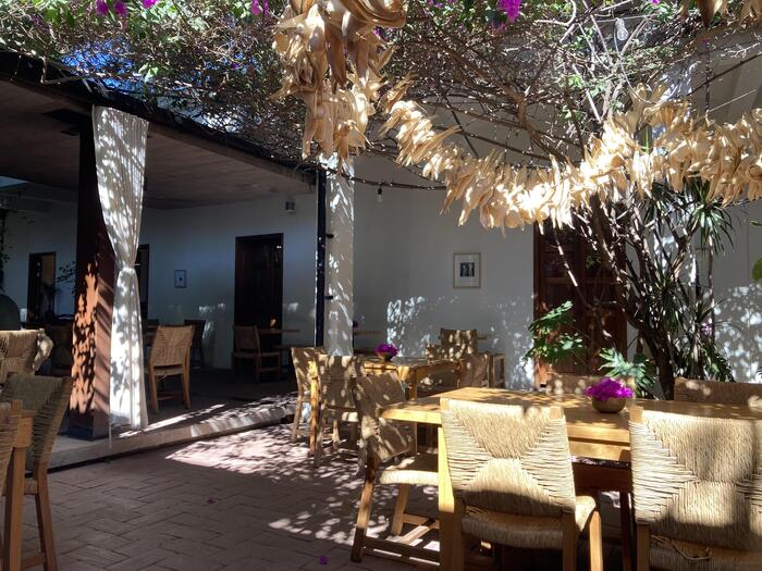 店内・テラスの様子