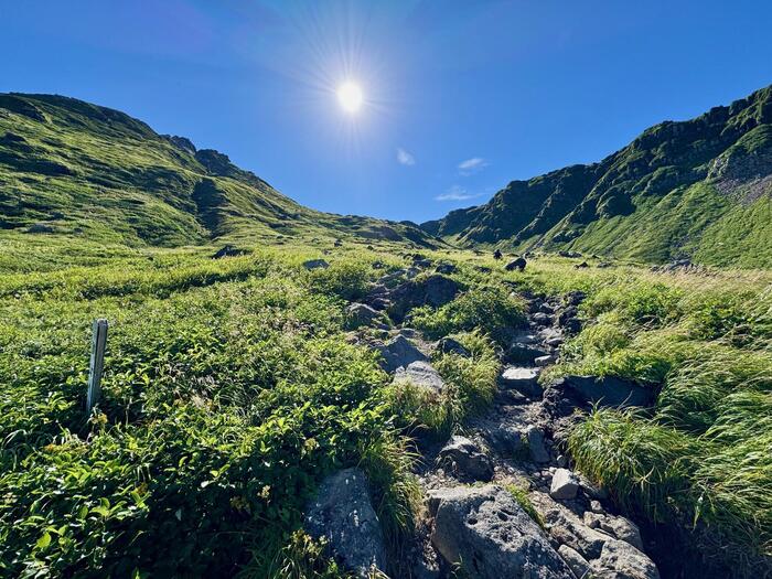 鳥海山　秋田県　山形県　日本百名山　花の百名山