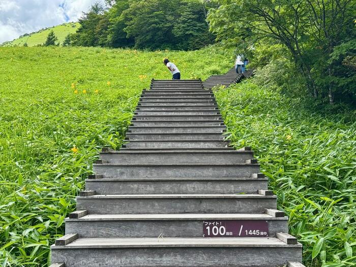 霧降高原キスゲ平園地　栃木県　日光市　天空回廊