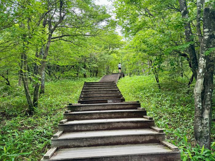 霧降高原キスゲ平園地　栃木県　日光市　天空回廊