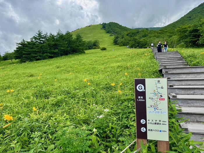 霧降高原キスゲ平園地　栃木県　日光市　天空回廊