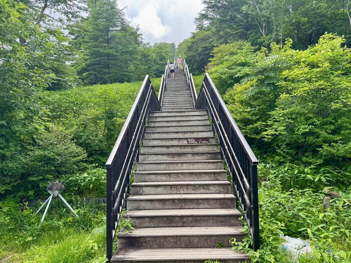 霧降高原キスゲ平園地　栃木県　日光市　天空回廊