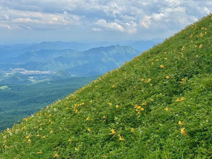 霧降高原キスゲ平園地　栃木県　日光市　天空回廊