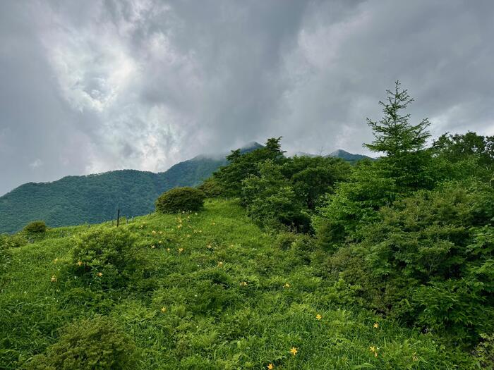 霧降高原キスゲ平園地　栃木県　日光市　天空回廊　小丸山展望台