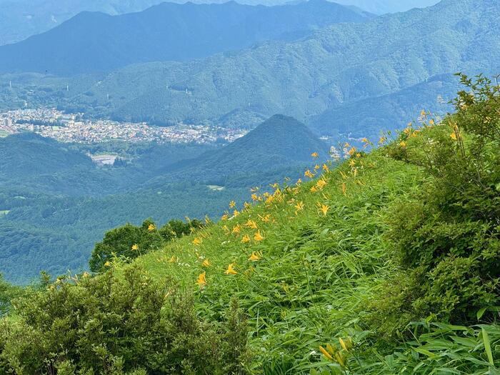 霧降高原キスゲ平園地　栃木県　日光市　天空回廊　小丸山展望台