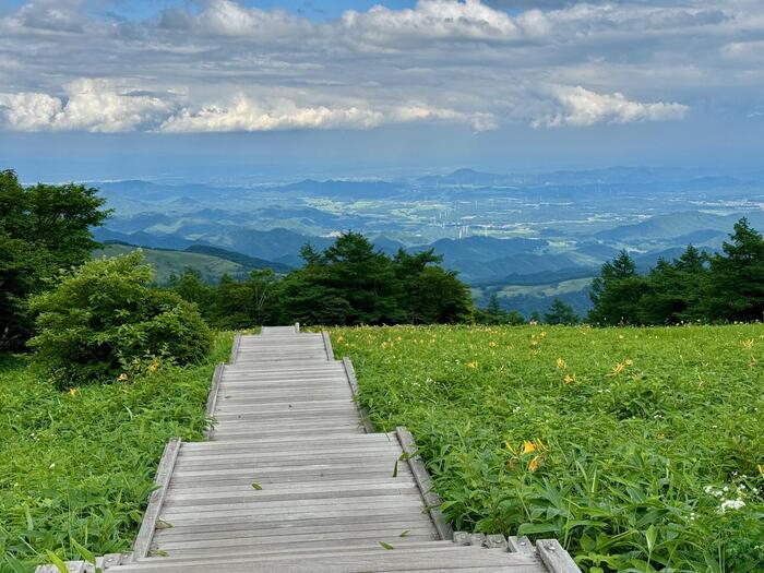 霧降高原キスゲ平園地　栃木県　日光市　天空回廊