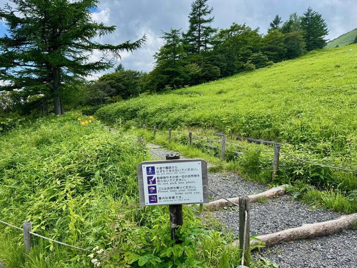 霧降高原キスゲ平園地　栃木県　日光市　天空回廊