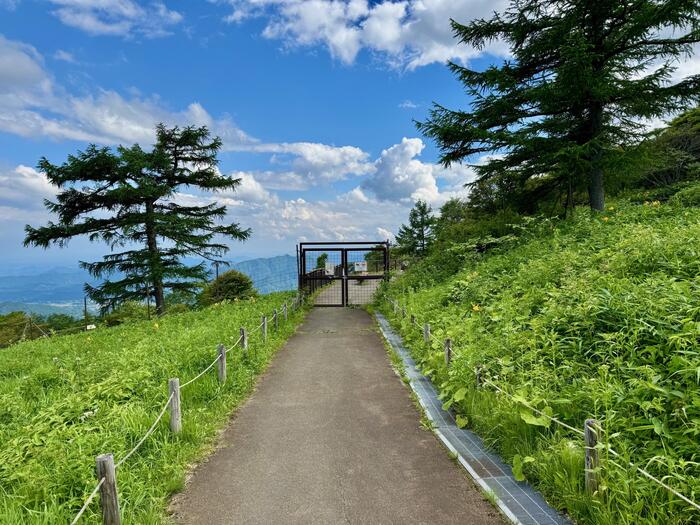 霧降高原キスゲ平園地　栃木県　日光市　天空回廊