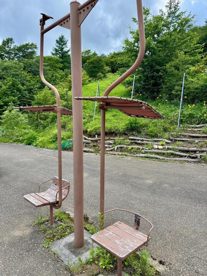 霧降高原キスゲ平園地　栃木県　日光市　天空回廊