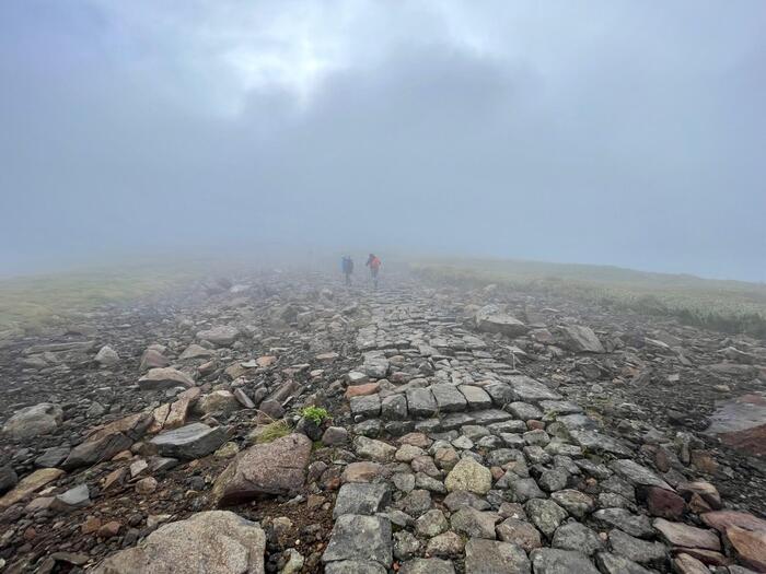 鳥海山　秋田県　山形県　日本百名山　花の百名山