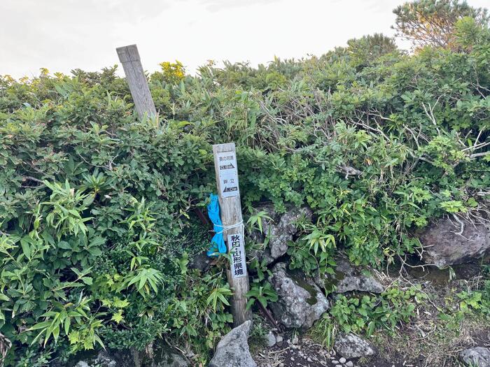 鳥海山　秋田県　山形県　日本百名山　花の百名山
