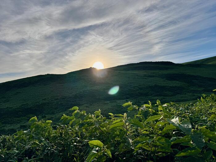 鳥海山　秋田県　山形県　日本百名山　花の百名山