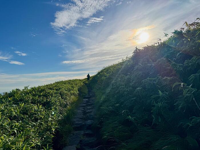 鳥海山　秋田県　山形県　日本百名山　花の百名山