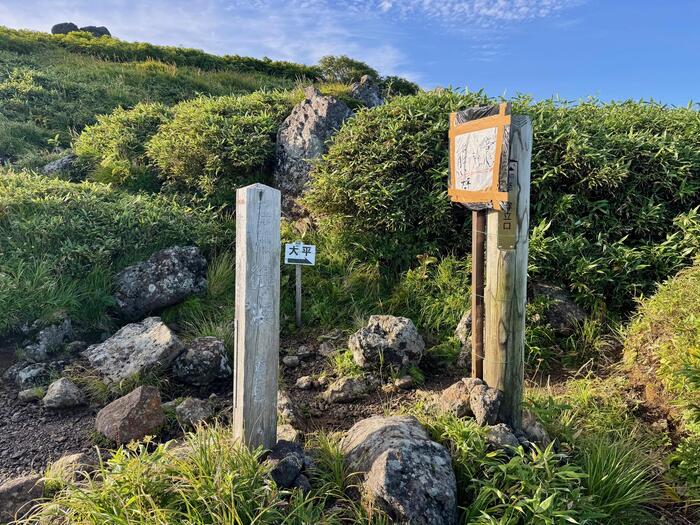 鳥海山　秋田県　山形県　日本百名山　花の百名山