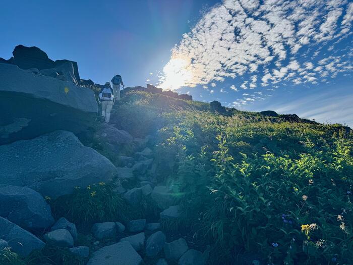 鳥海山　秋田県　山形県　日本百名山　花の百名山