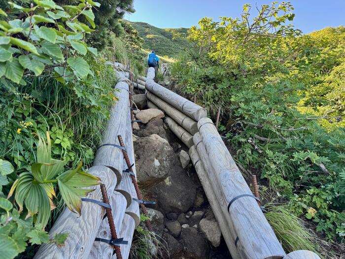 鳥海山　秋田県　山形県　日本百名山　花の百名山