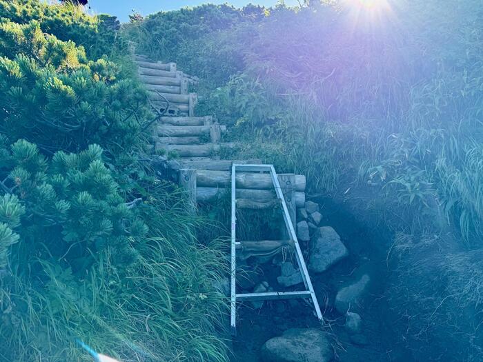 鳥海山　秋田県　山形県　日本百名山　花の百名山