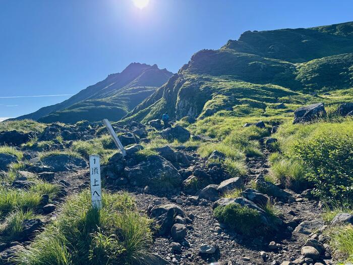 鳥海山　秋田県　山形県　日本百名山　花の百名山