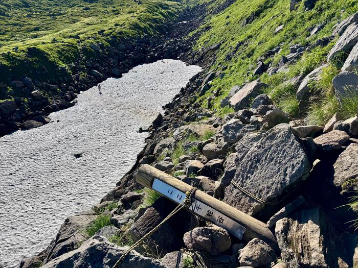 鳥海山　秋田県　山形県　日本百名山　花の百名山　千蛇谷