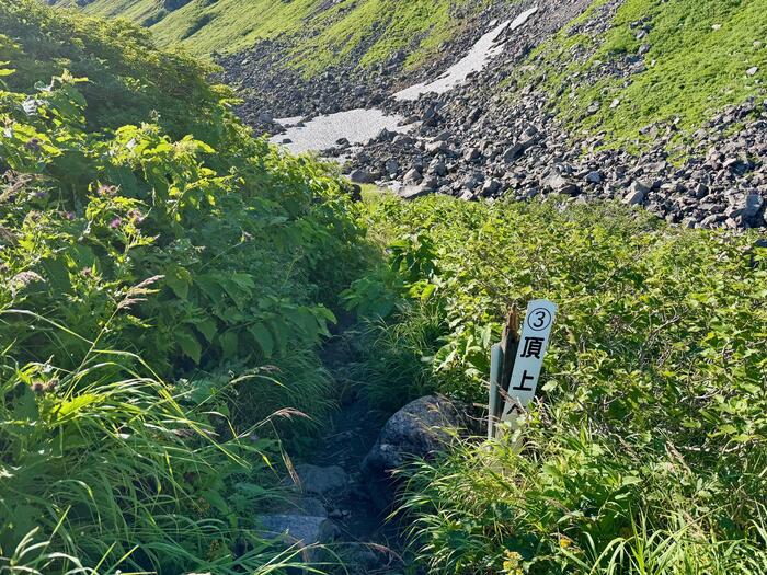 鳥海山　秋田県　山形県　日本百名山　花の百名山