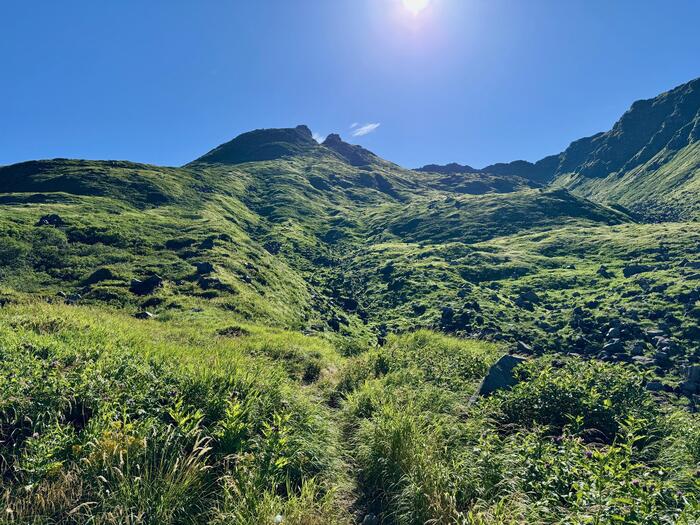 鳥海山　秋田県　山形県　日本百名山　花の百名山