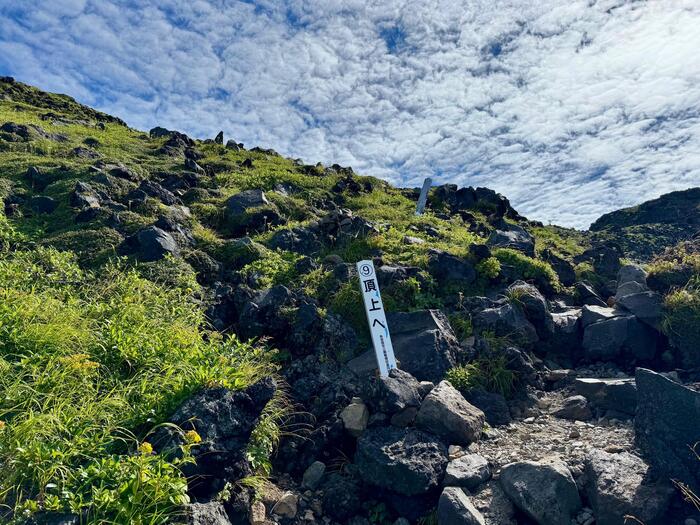 鳥海山　秋田県　山形県　日本百名山　花の百名山