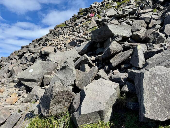 鳥海山　秋田県　山形県　日本百名山　花の百名山