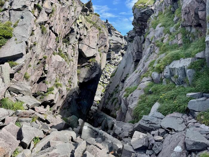 鳥海山　秋田県　山形県　日本百名山　花の百名山