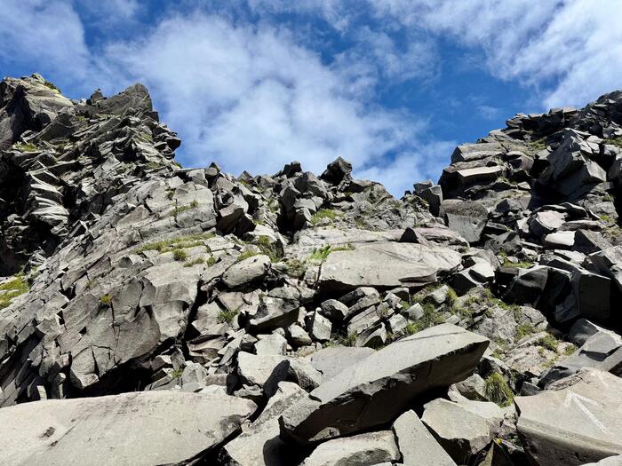鳥海山　秋田県　山形県　日本百名山　花の百名山