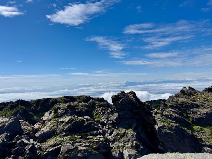 鳥海山　秋田県　山形県　日本百名山　花の百名山
